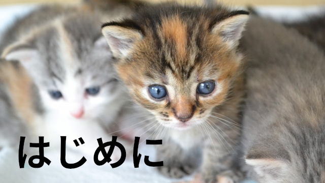 introduction